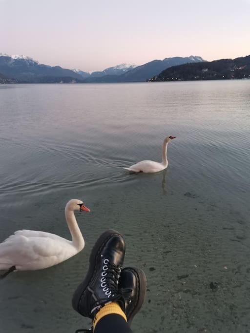 Апартаменты Cocon A La Campagne,Proche Annecy Альби-сюр-Шеран Экстерьер фото