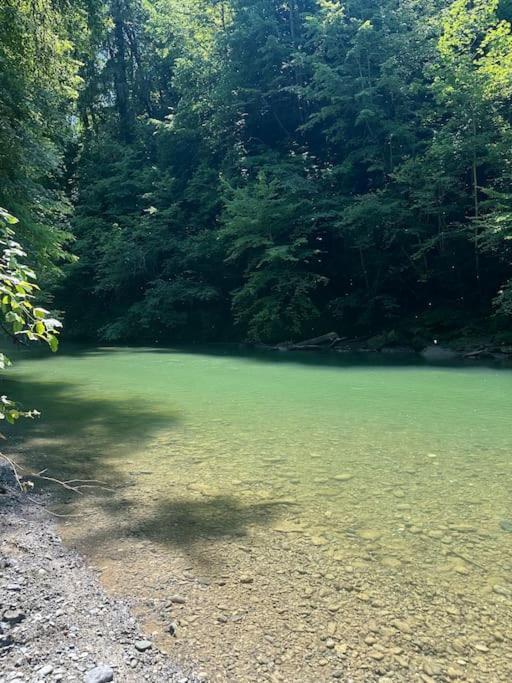 Апартаменты Cocon A La Campagne,Proche Annecy Альби-сюр-Шеран Экстерьер фото