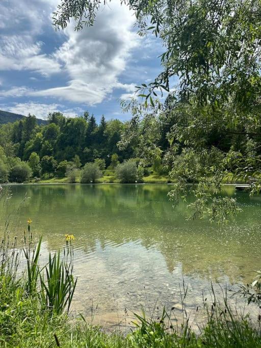 Апартаменты Cocon A La Campagne,Proche Annecy Альби-сюр-Шеран Экстерьер фото