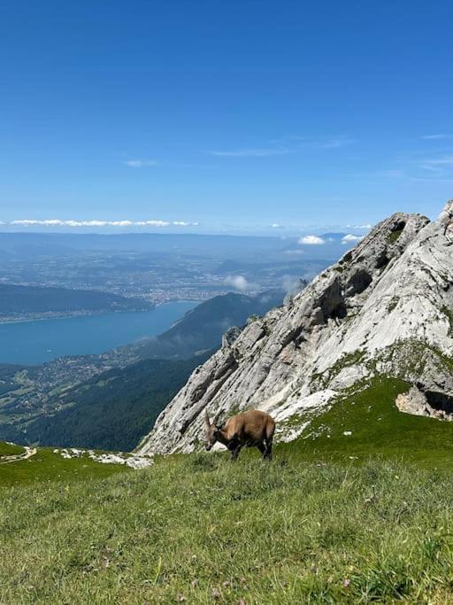 Апартаменты Cocon A La Campagne,Proche Annecy Альби-сюр-Шеран Экстерьер фото