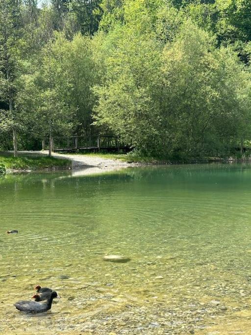 Апартаменты Cocon A La Campagne,Proche Annecy Альби-сюр-Шеран Экстерьер фото